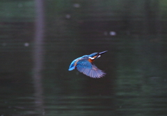 １対１で遊ぶ　２