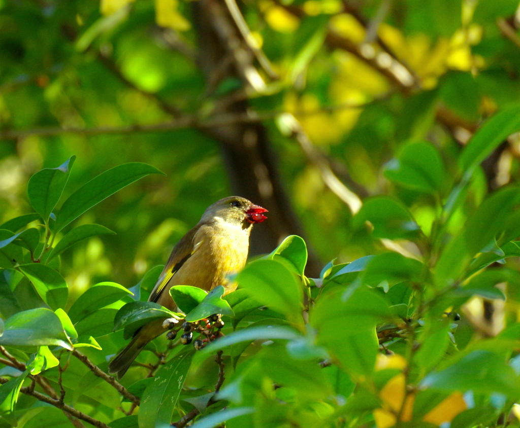 お口　くわんくわん　(#^.^#)