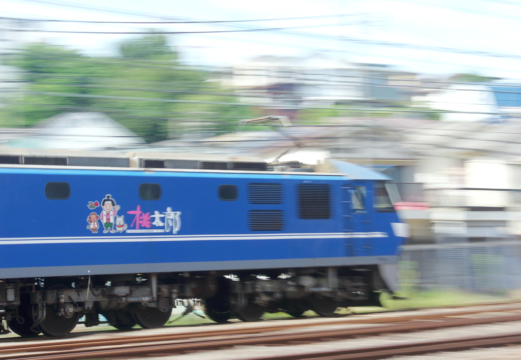 MOMOTARO rush on JR east （キャラ入り）