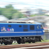 MOMOTARO rush on JR east （キャラ入り）