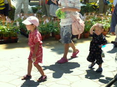 暑ついよ～　！