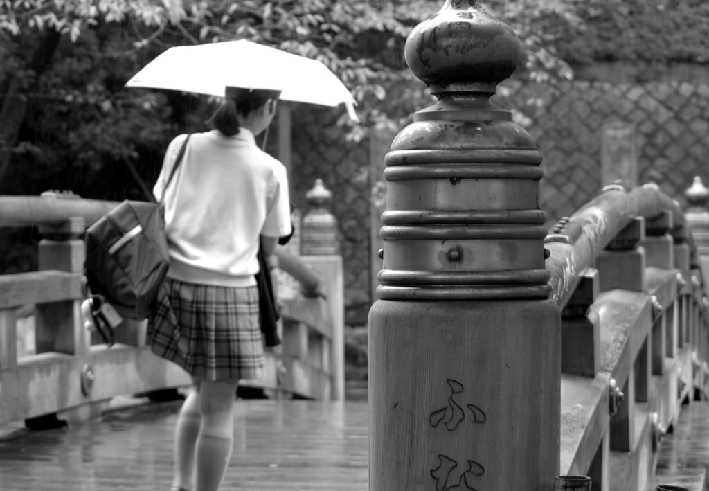 雨にも負けず