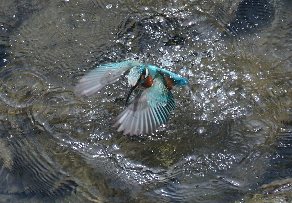 離　水