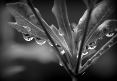 走り梅雨？