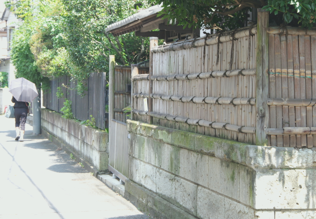 盛夏の建仁寺垣
