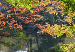 紅葉狩り