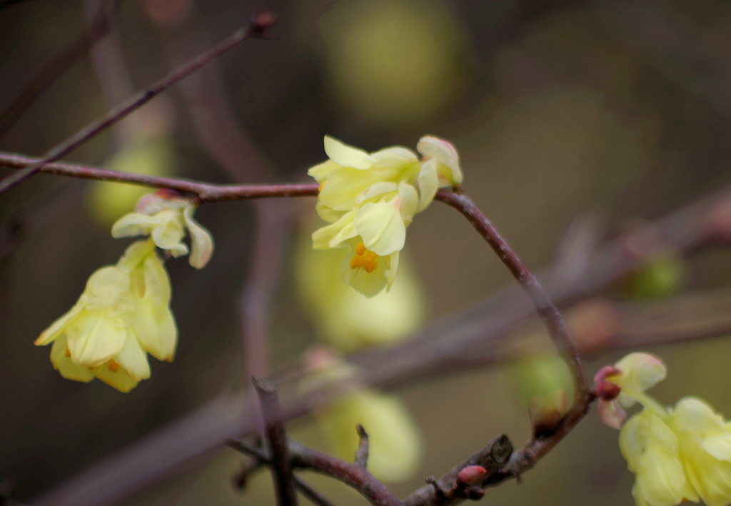 日向ミズキ・・・