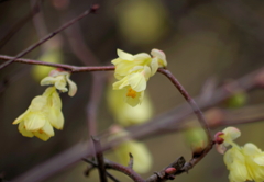 日向ミズキ・・・