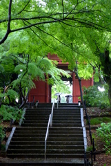 梅雨風情②