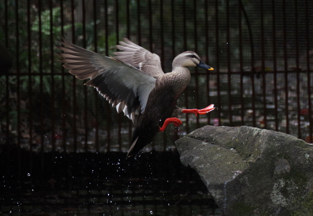 よっこらしょ！