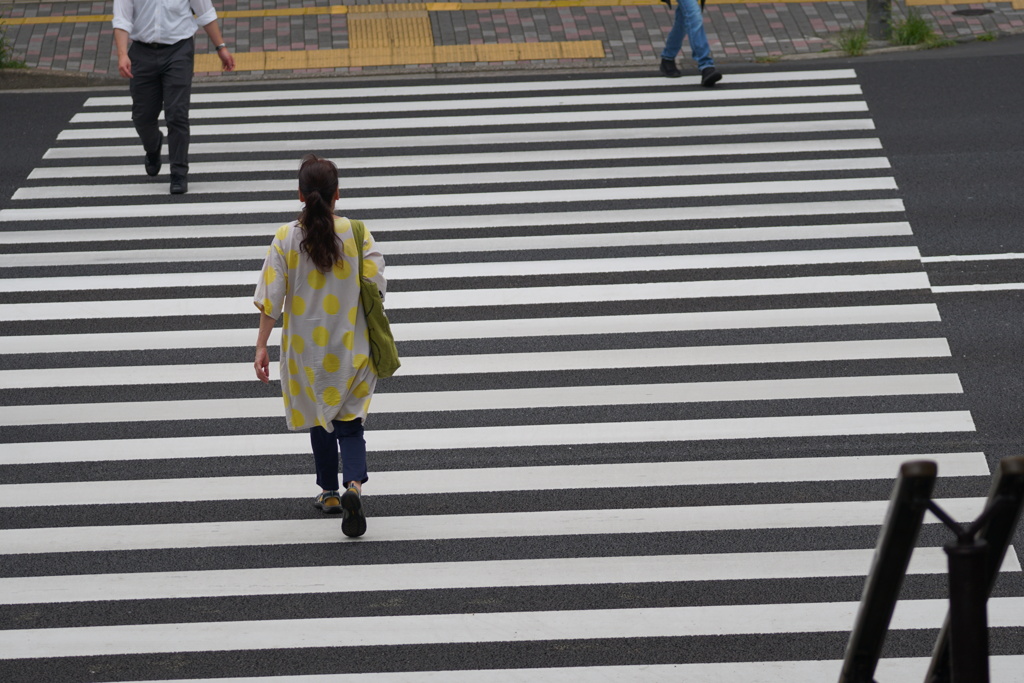 女のみち