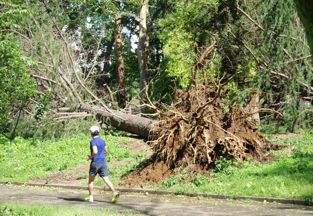 台風一過