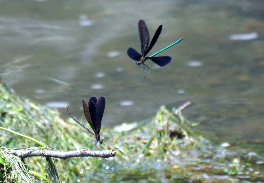 か～のじょ　あ～そぼ！　(#^.^#)