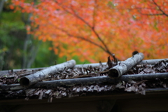 茶室中門（ちゅうもん）