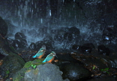 兄弟仲良く！？