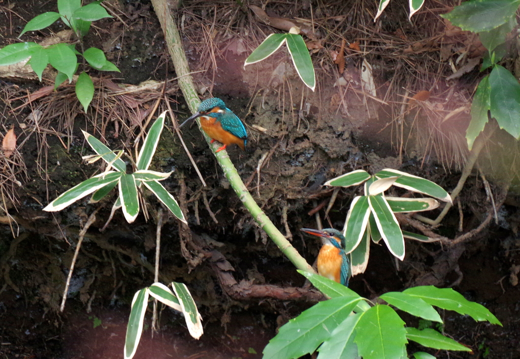 微妙な距離感　２
