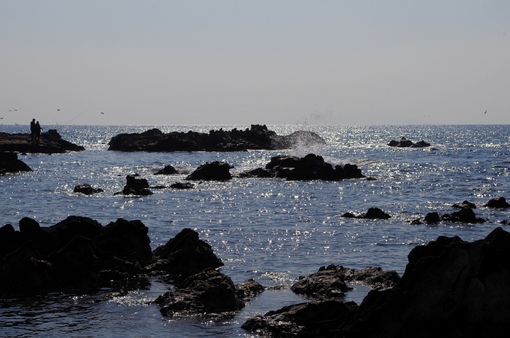 荒崎海岸③