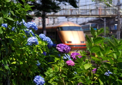 梅雨の晴れ間