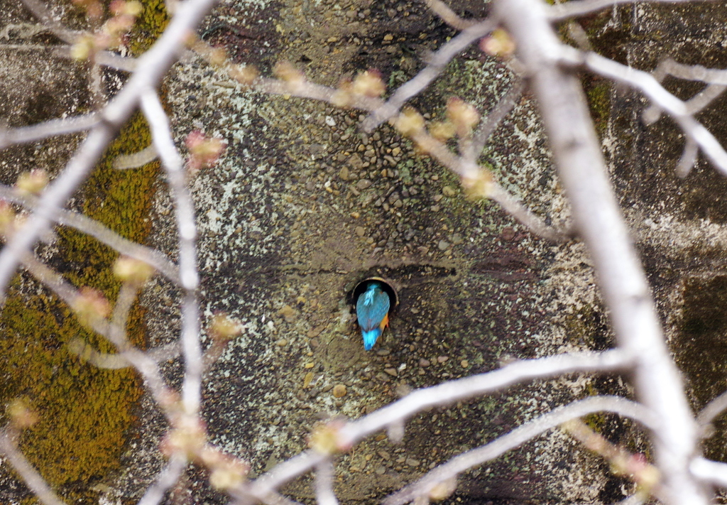 お家　見っけ(^^)/