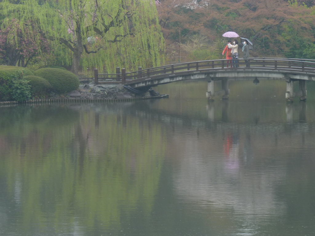 春　雨　