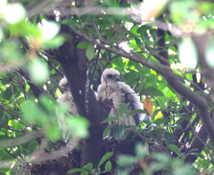 成長記録　６/２９　その１
