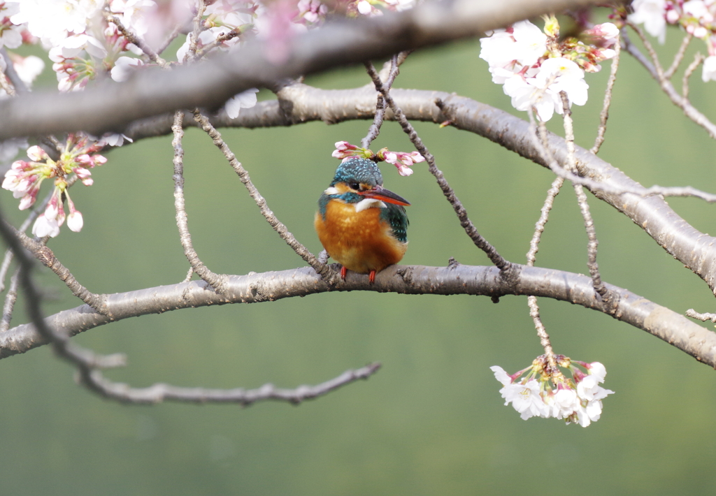 花の髪飾り