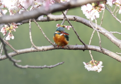 花の髪飾り