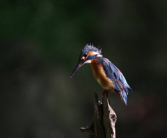 男はつらいよ！