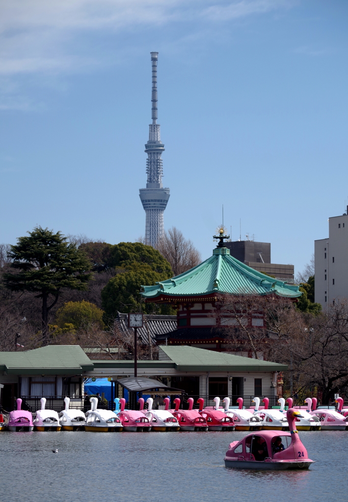 春めく　