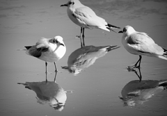 氷上のジョナ３！！！