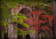 初夏の彩り　　