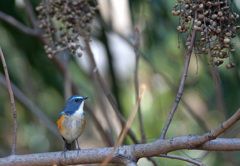 ど〜れにしようかな!？