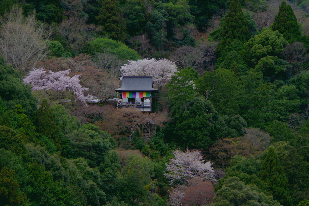 山寺春景