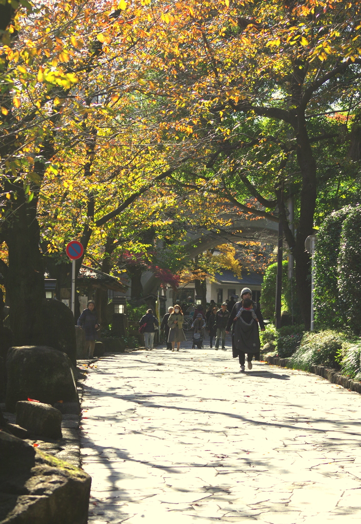 我が街の紅葉　４