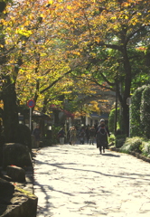 我が街の紅葉　４