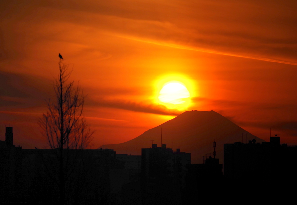 今日の富士山（１）