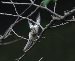 おっとっとっと・・・
