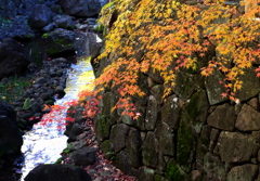 我が街の紅葉　３