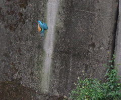 新居見っけ！　(*^^*)　２