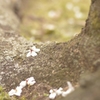 _DSC0474