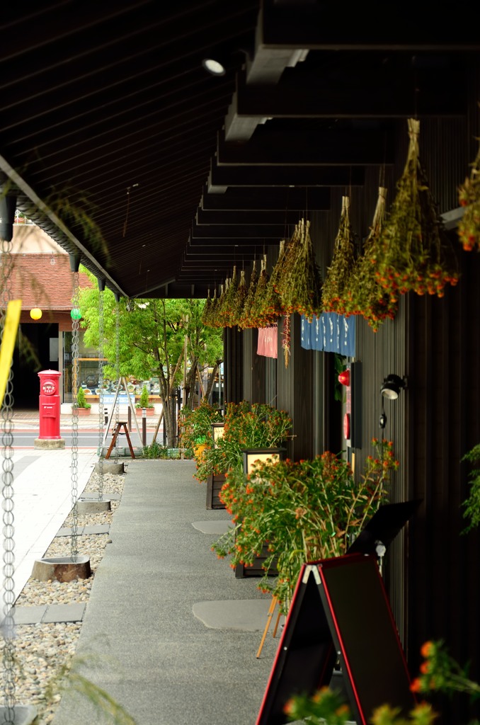 山形県の花・・