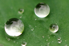 水滴