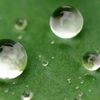 水滴