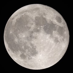 月齢15.3　150928