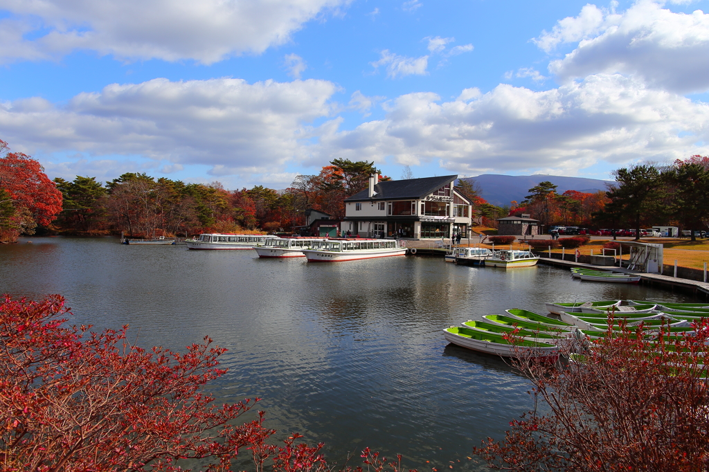 大沼公園