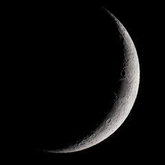 月齢3.3　150521