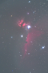 馬頭星雲　160208