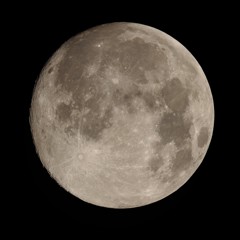月齢14.5　150730