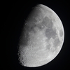 月齢9.2　141003
