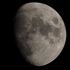 月齢10.0　　150130